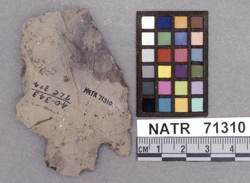 NATR   71310 -- Terminal Archaic Barbed Cluster projectile point