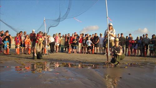 2010 Kemp's ridley sea turtle project at Padre Island National Seashore (for NRC)