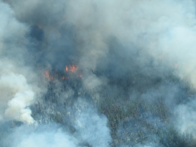 Magpie Fire July 21, 2006