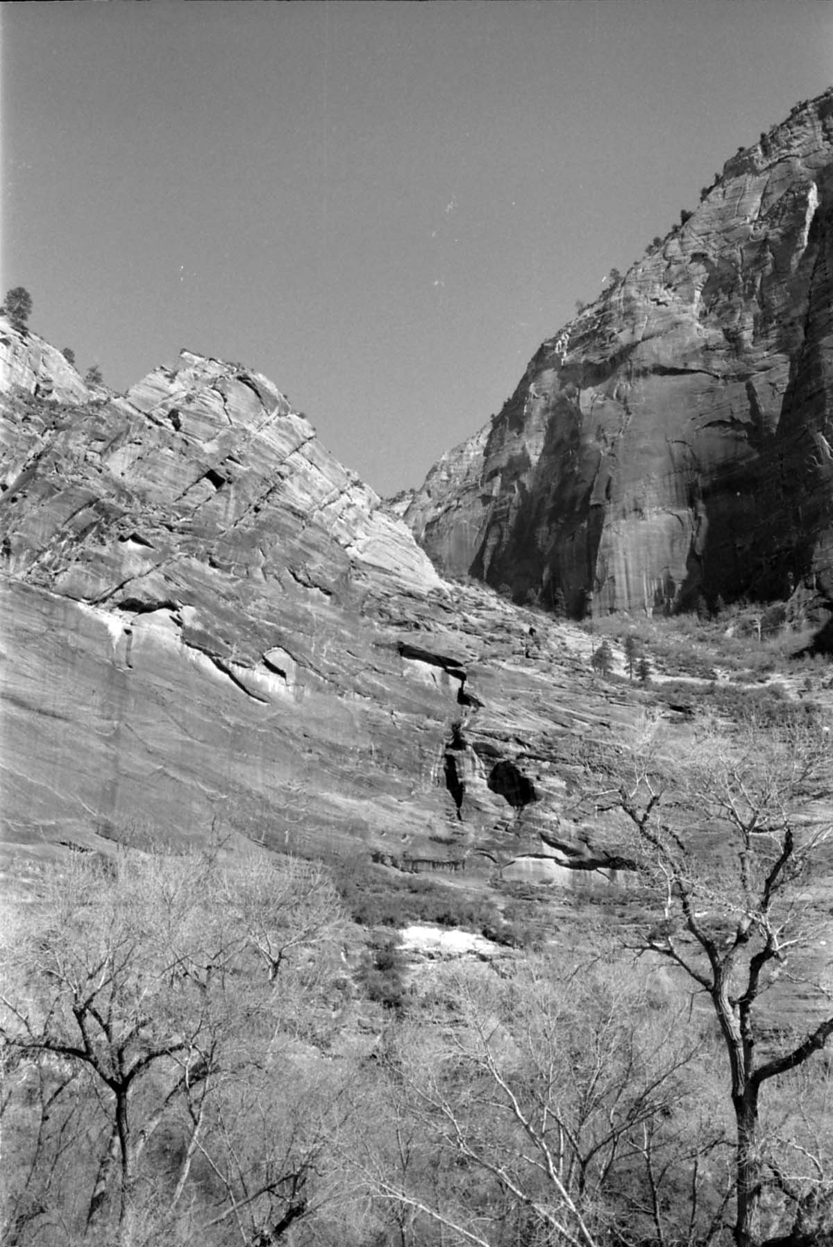 BW Photos of Weeping Rock - 35mm.