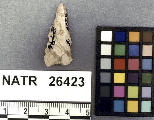 NATR   26423 -- Late Woodland / Miss Triangular Cluster projectile point