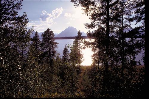 Views at Grand Teton National Park, Wyoming
