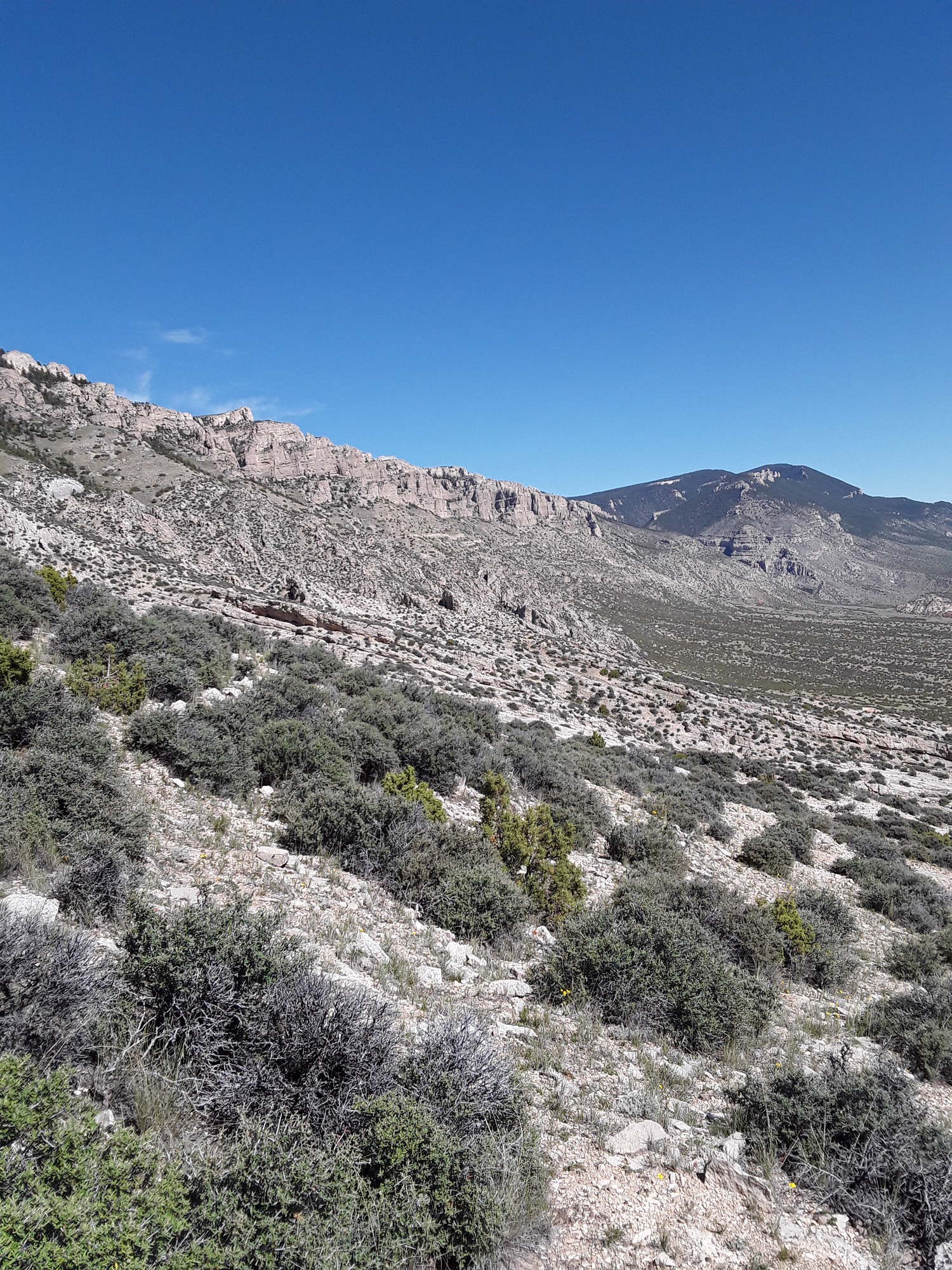 Image of the vegetation and landscape at photo point in Bighorn Canyon NRA 