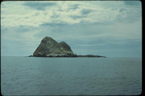 Prince Island in Cuyler Harbor off San Miguel Island