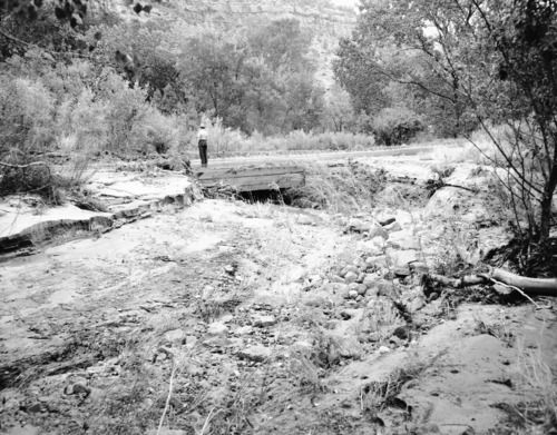 Flood damage - 0.68-inch of rain in a few minutes. Debris covered road and bridge near Oak Creek residence area, looking downstream.