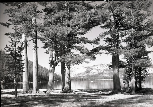 From upper end of lake.