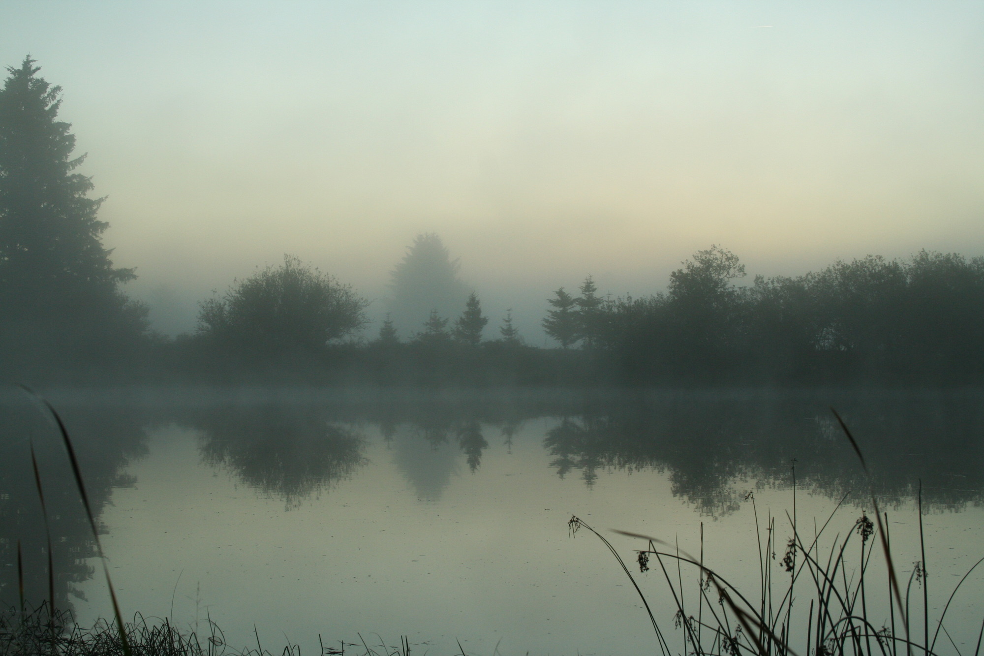 a foggy grey sunrise on the netul river.