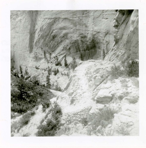 General view of the East Rim trail.