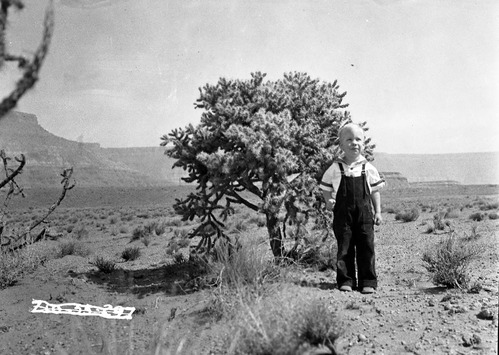 Young boy in overalls standing next to a cholla cactus in the desert near Virgin, Utah. [A colorized version of this photograph is included in the Zion Lantern Slide Collection- Catalog number ZION 13004.]