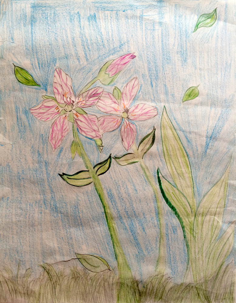 student artwork-spring beauty