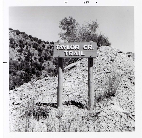 Road sign reading 'Taylor Cr. Trail' in Kolob Canyon.