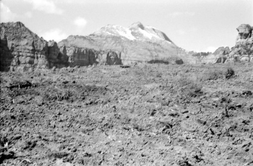 BW photo of the 1937 grazing study 35MM. Photo of chained area.