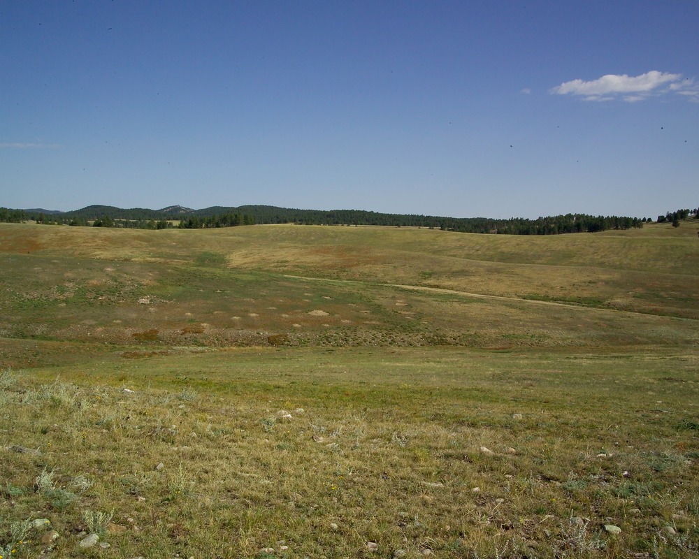 prairie dog town in the fall