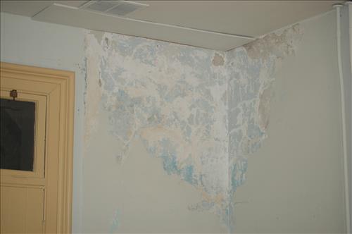 Paint Interior/Exterior of Lodge Building