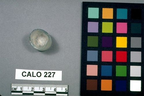 CALO     227 -- Bottle