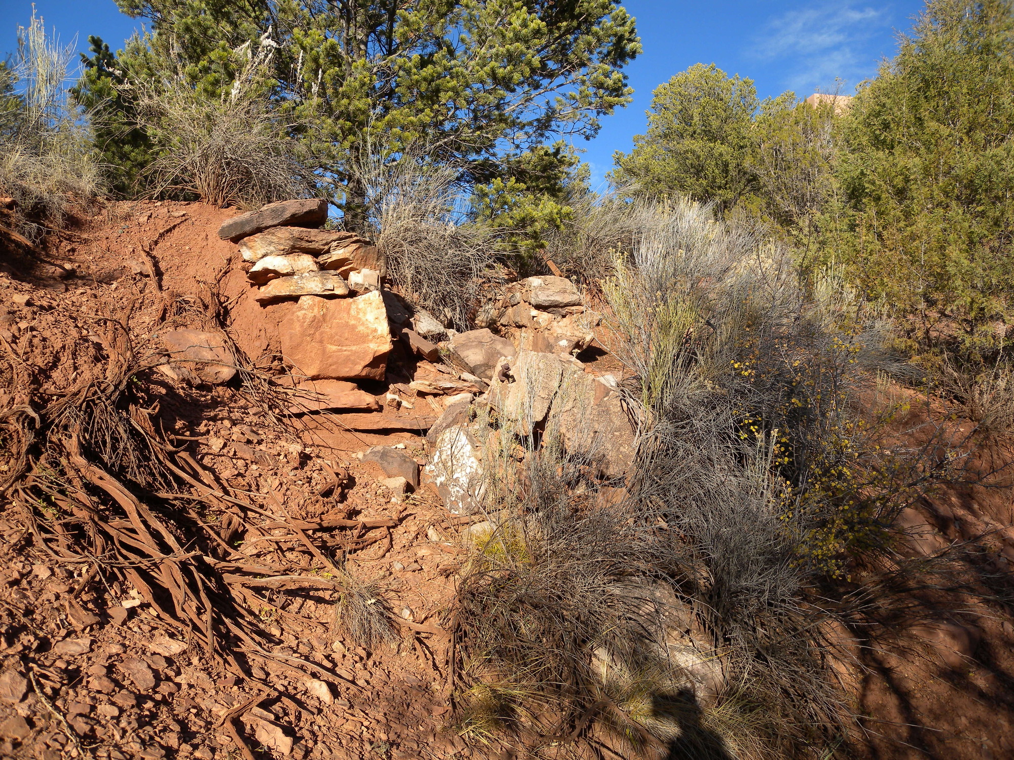  A rocky hillside with some trees in the background.