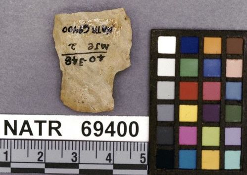 NATR   69400 -- Untyped projectile point