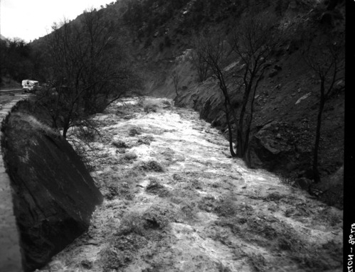 Virgin River on the rampage in Zion Canyon.