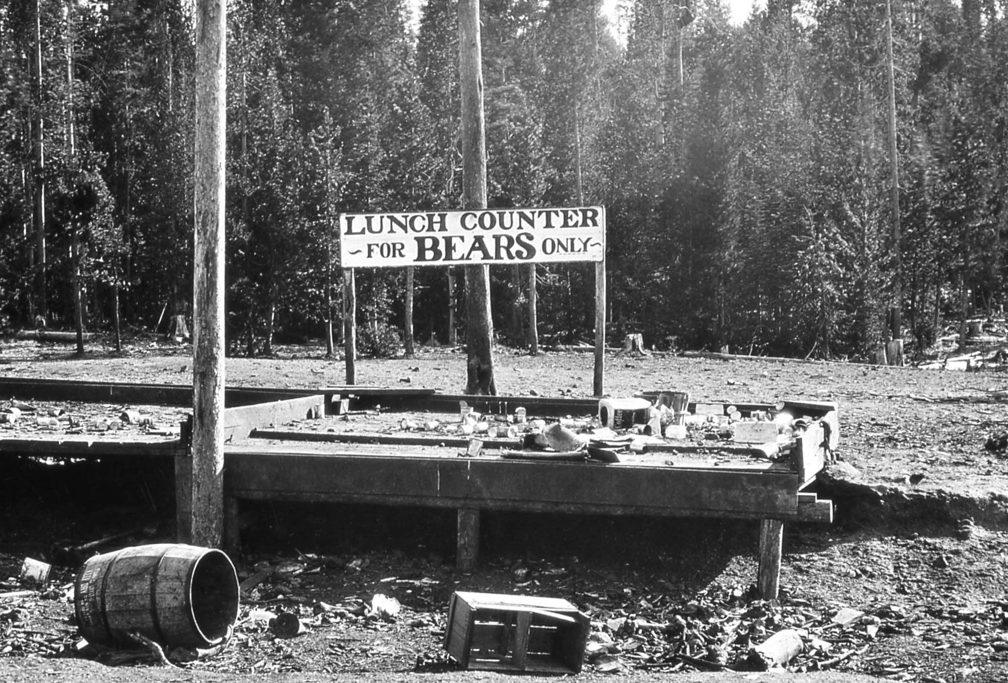 A platform with garbage on it and a sign that says, "Lunch counter- for bears only-".