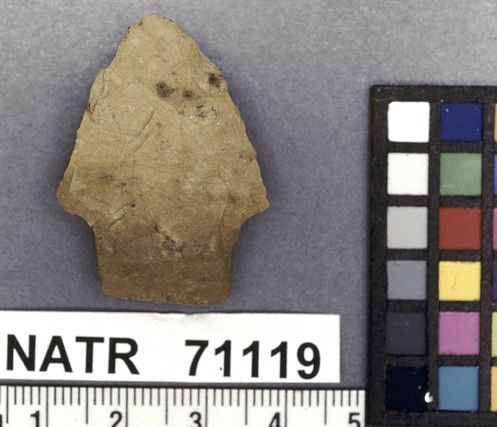NATR   71119 -- Dickson Cluster projectile point