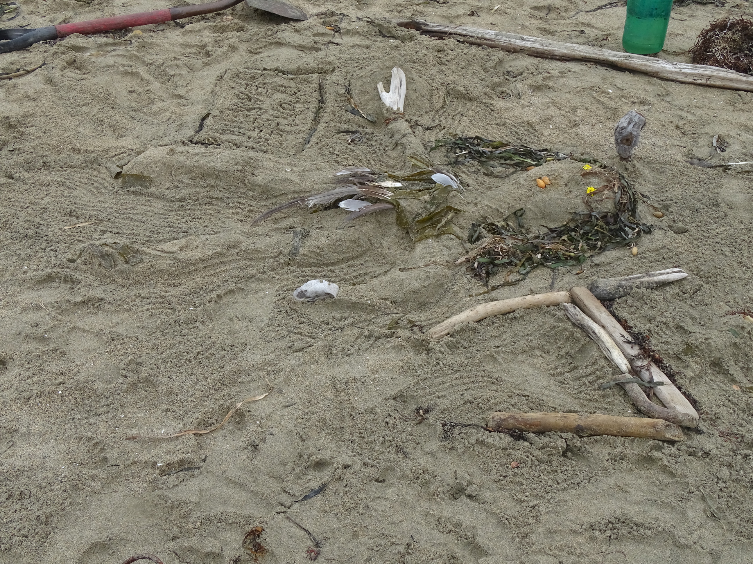 A sand sculpture of a woman made of sand, seaweed, shells, feathers, and driftwood.