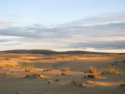Evening Light on the Dunes