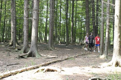 Summer theater campers walking