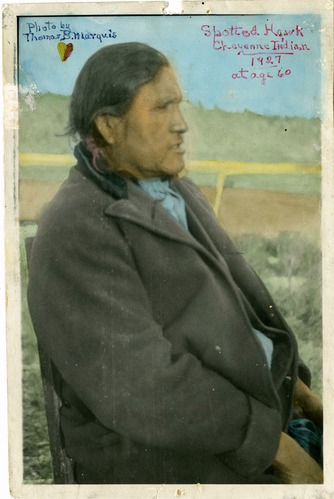 Spotted Hawk, Aged 60, Seated in profile