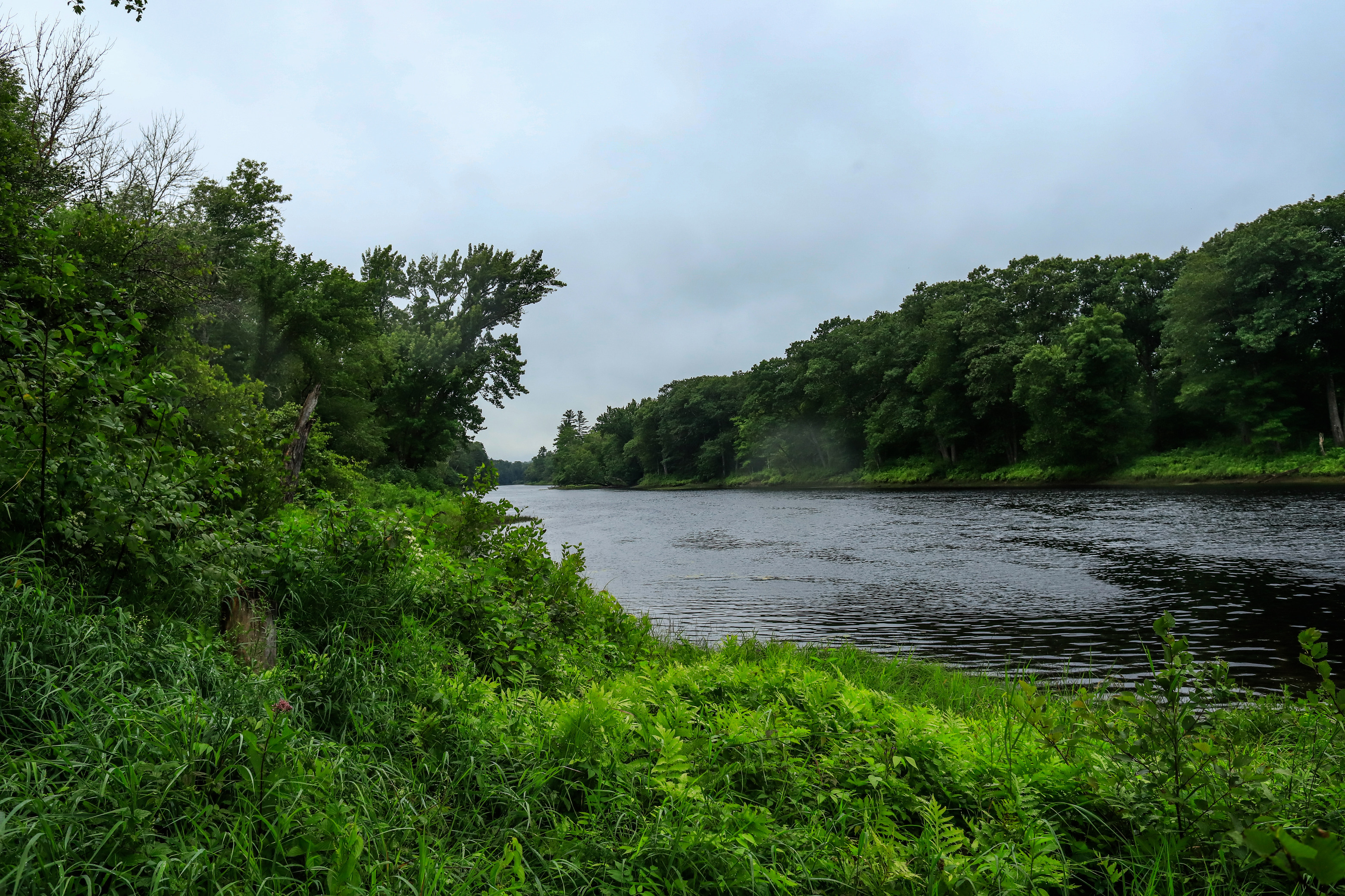 A river with greenery on both sides flows into the distance