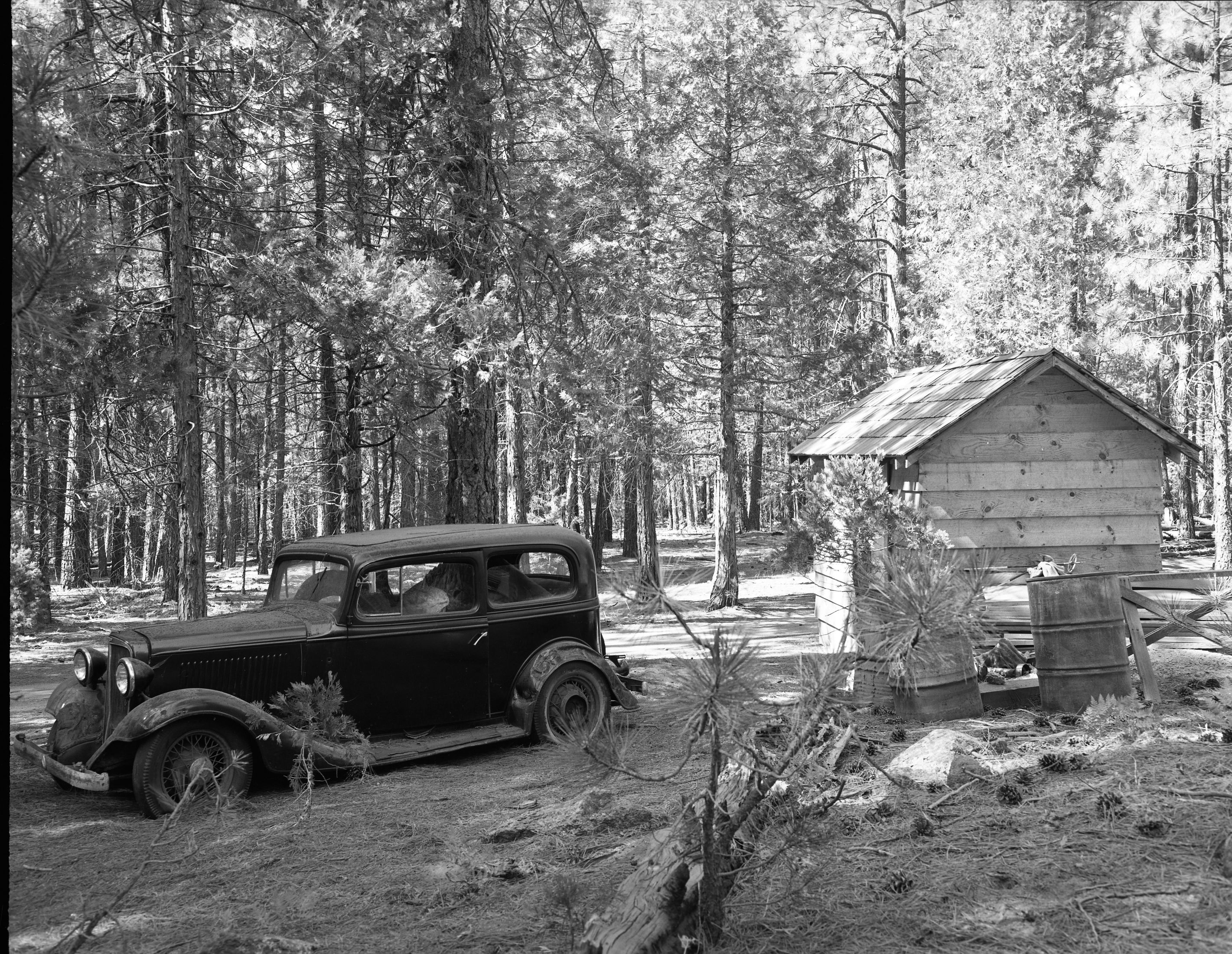Foresta. Wall house, temporary shack with wreckedn Chevrolet car near Myers line. A-10.