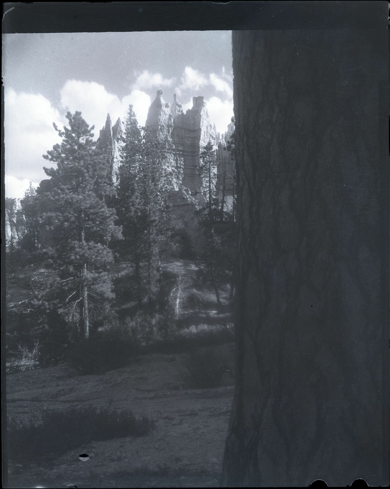 BRCA Museum and Archives Image