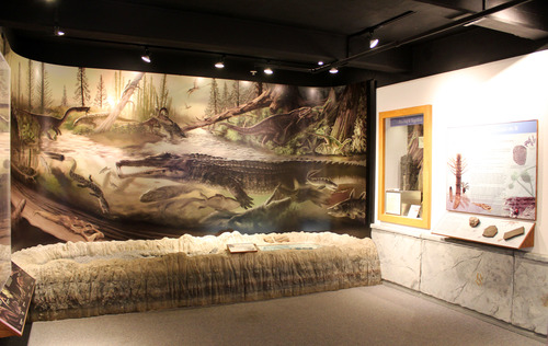 Blue Mesa Room, Rainbow Forest Museum with Late Triassic mural and exhibits