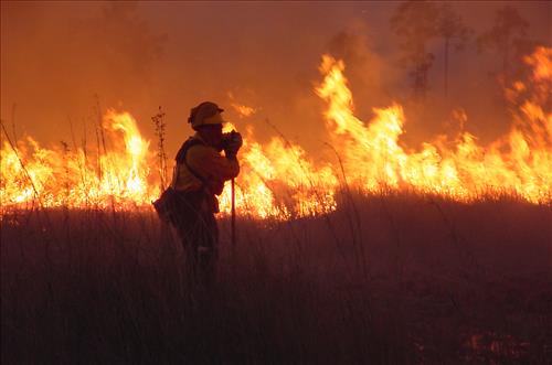 Firefighters on prescribed burns in Everglades NP 2003