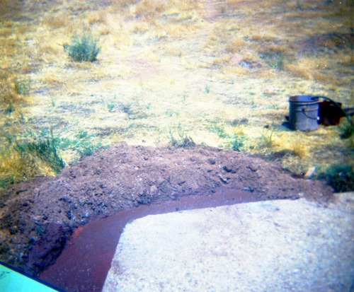 Color photos of trailside exhibits.
