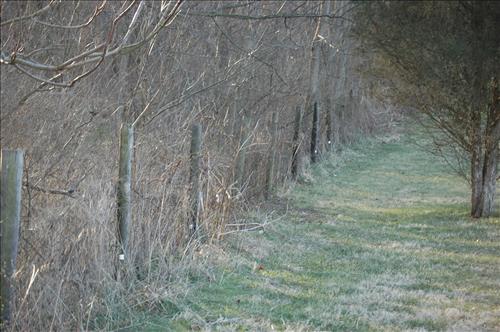 Remove encroaching vegetation from fence at Antietam NB Sharpsburg MD.