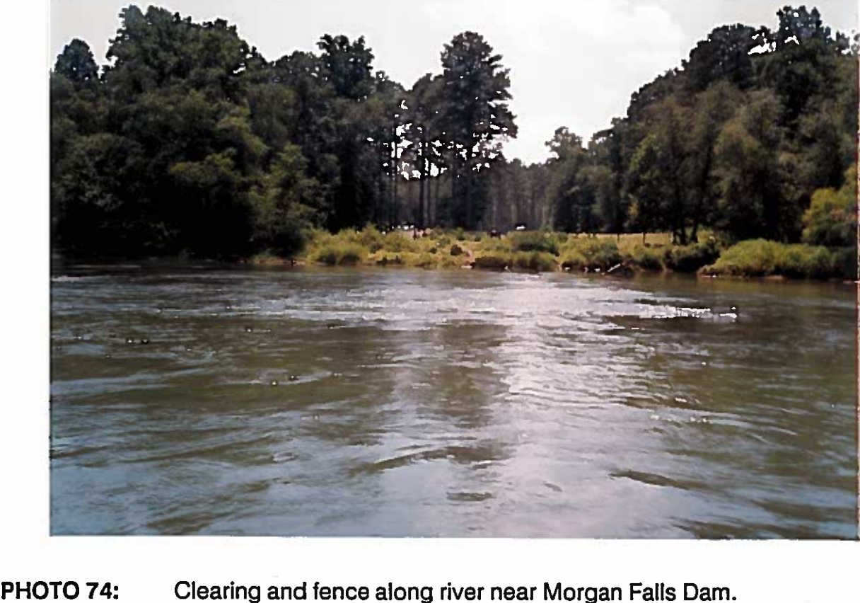 Cobb Co. Clearing near Morgan Falls Dam
