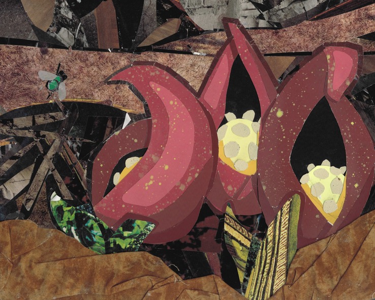 Abstract collage of shades of red with brown and green