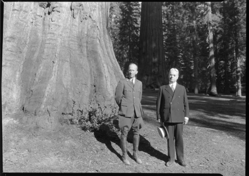 Sen. Hiram Johnson and Col. Thomson at Big Trees