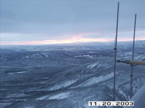 Moose Survey, Yukon-Charley, 2003 2