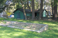 Two rectangular growing beds have concrete walls. A green shed is located under trees in the background.