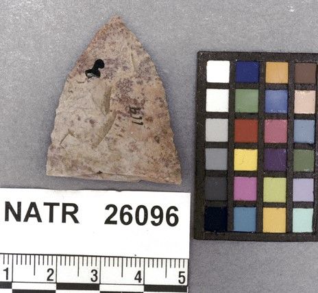 NATR   26096 -- Robbins projectile point