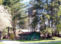 A low green shed, metal water tower, grape vine trellis, and other features are clustered under pine trees.