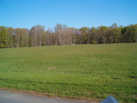 A sloping grassy field leads towards a border of trees in the distance, under a blue sky.