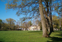 The view towards the mansion is framed by an expansive lawn and the large trees that line the entry drive.