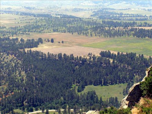 2006-2010 Meadow Restoration