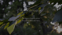 Video of Frederick Law Olmsted National Historic Site, where a shady lawn and lush vegetation surround  a house. Internal and external views with shots of individual interviewees, historic photos, site plans (6 minutes, 6 seconds).