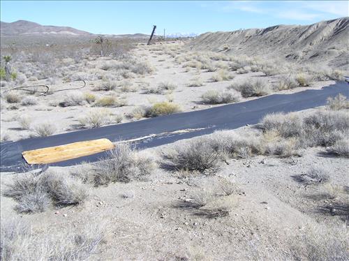 Telegraph Mine's environmental contamination related to gold processing.