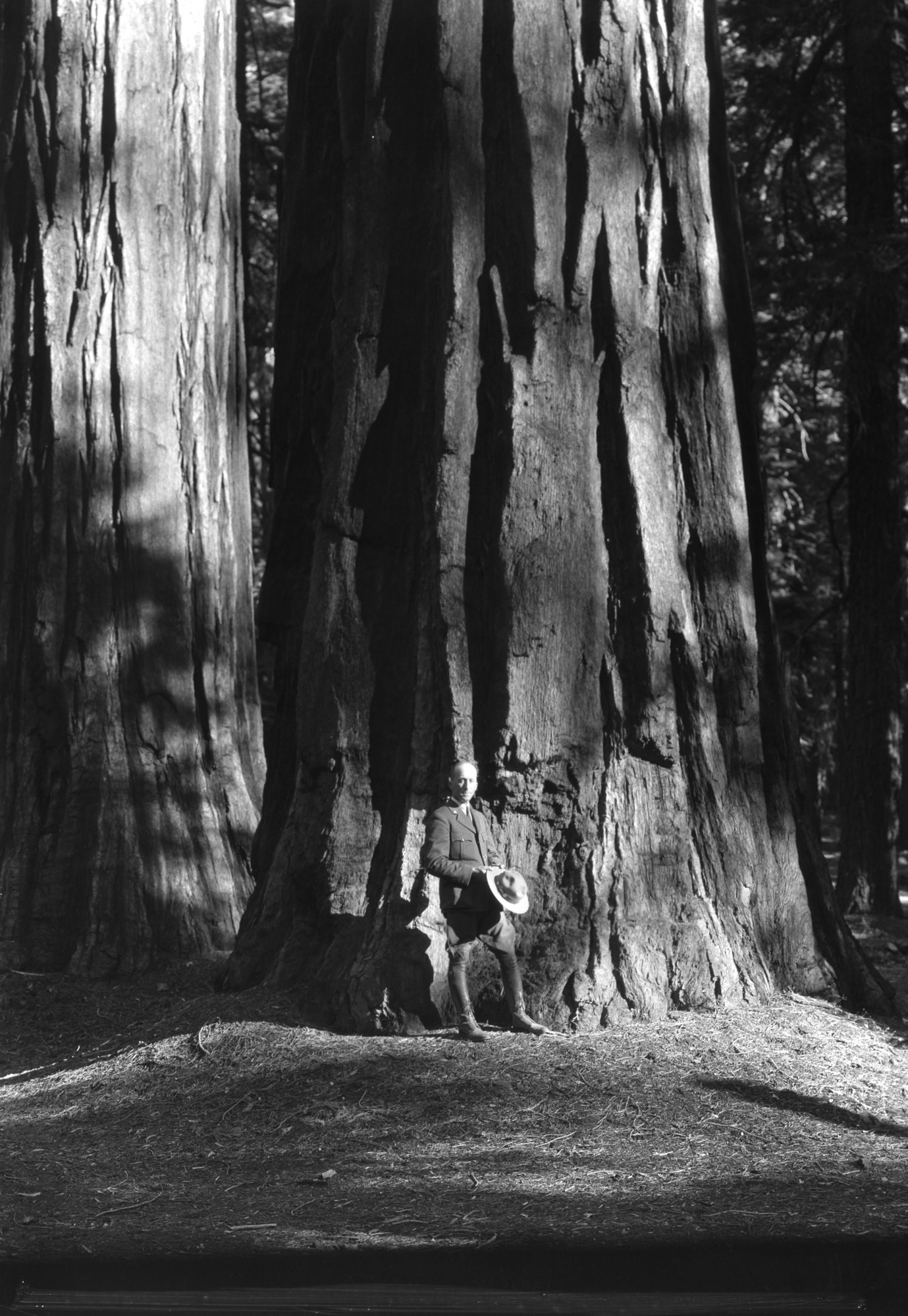 Col. C. G. Thomson Supt. in front of Sequoia Tree (the Rhode Island tree) in back of the museum in the Mariposa Grove.