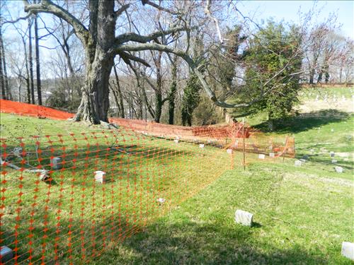 Trees at Chatham Lane and National Cemetery Fredericksburg and Spotsylvania March 2015