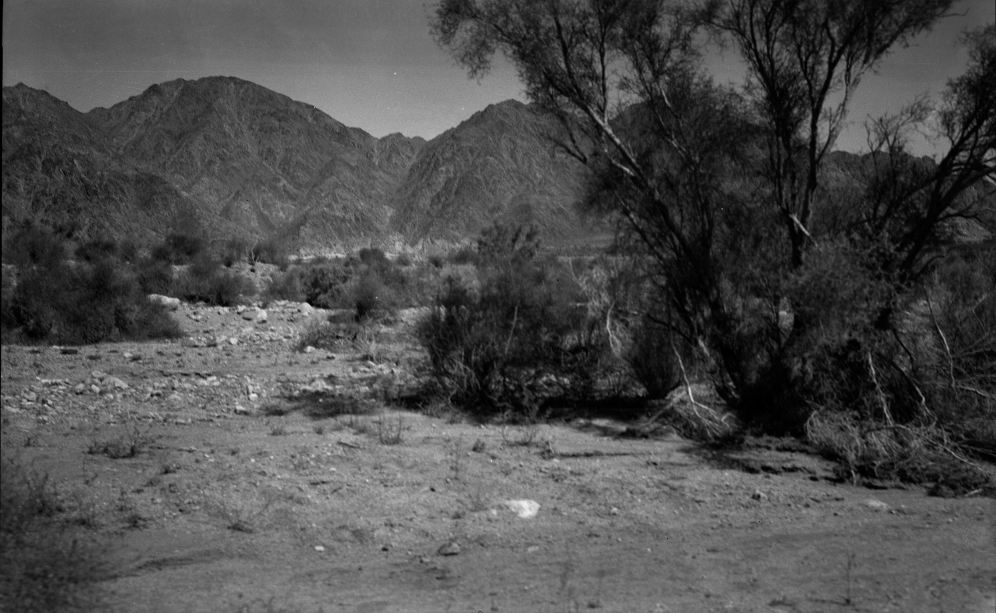 SEKI Roberts Collection Series: 2 Negatives; 10 Outside of the Park